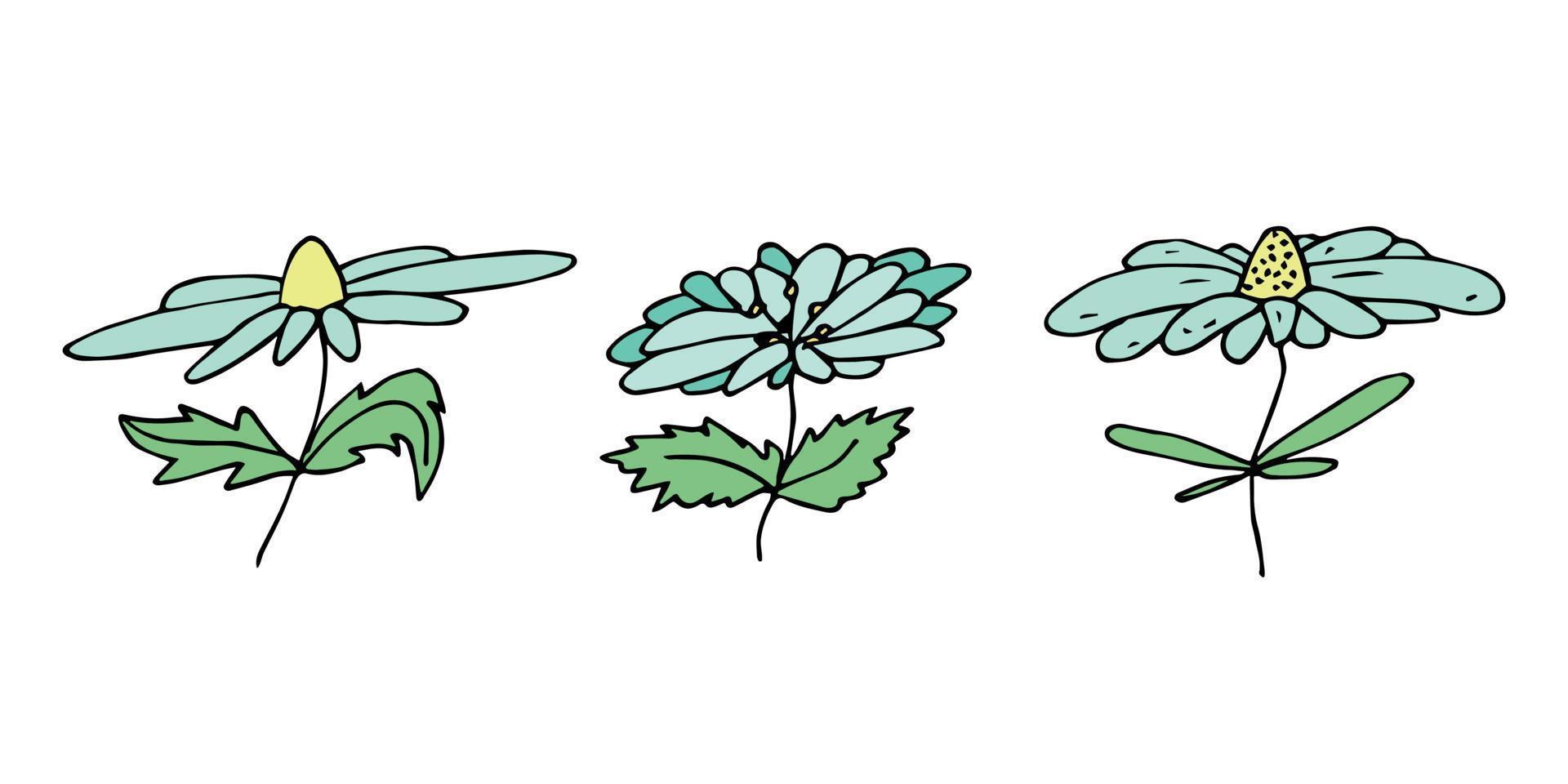 semplice fiore clipart. impostato di mano disegnato floreale scarabocchio. per Stampa, ragnatela, disegno, arredamento, logo vettore