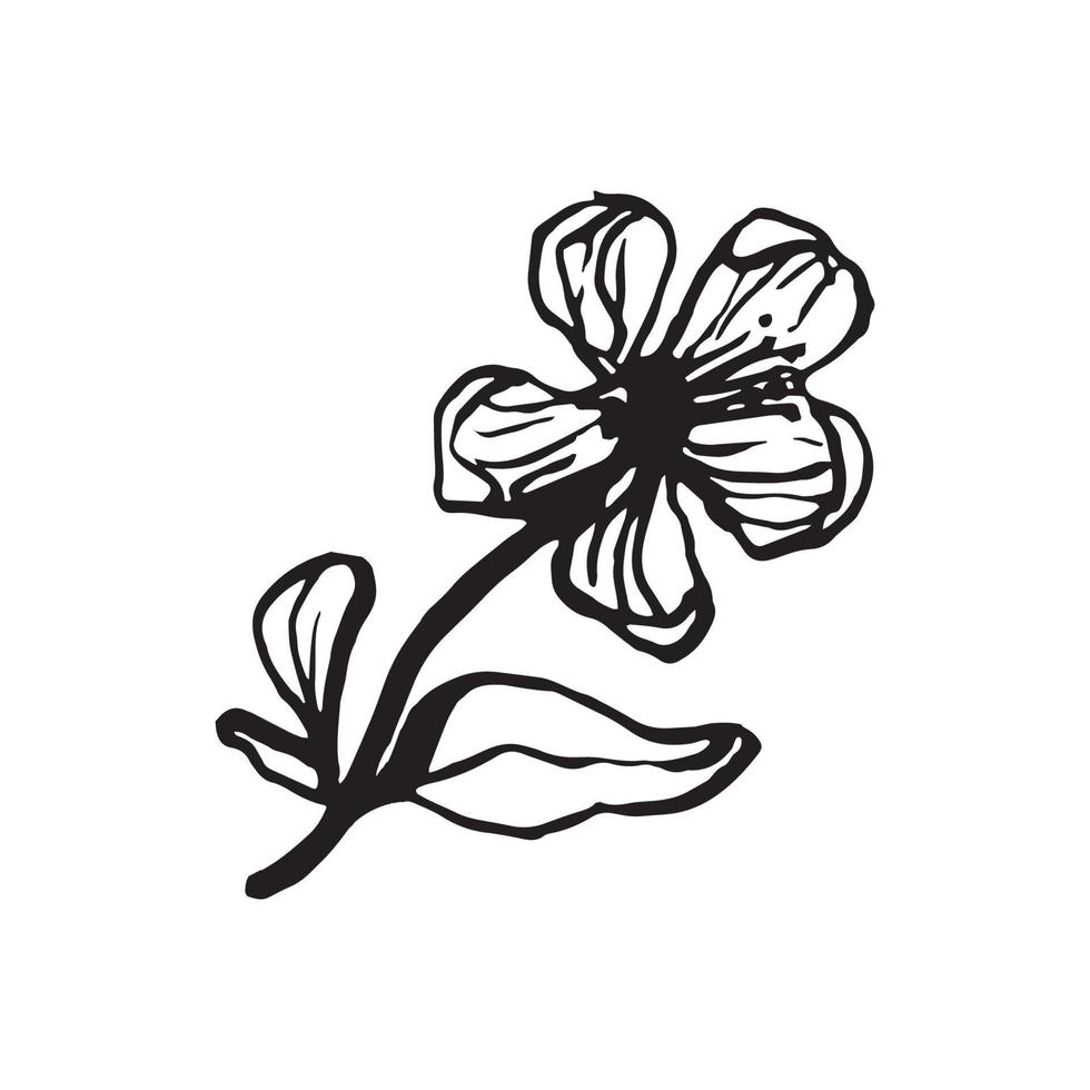 simpatico elemento sakura disegnato a mano. fiore primaverile tradizionale giapponese o cinese in stile inchiostro. scarabocchio pianta di ciliegio. vettore
