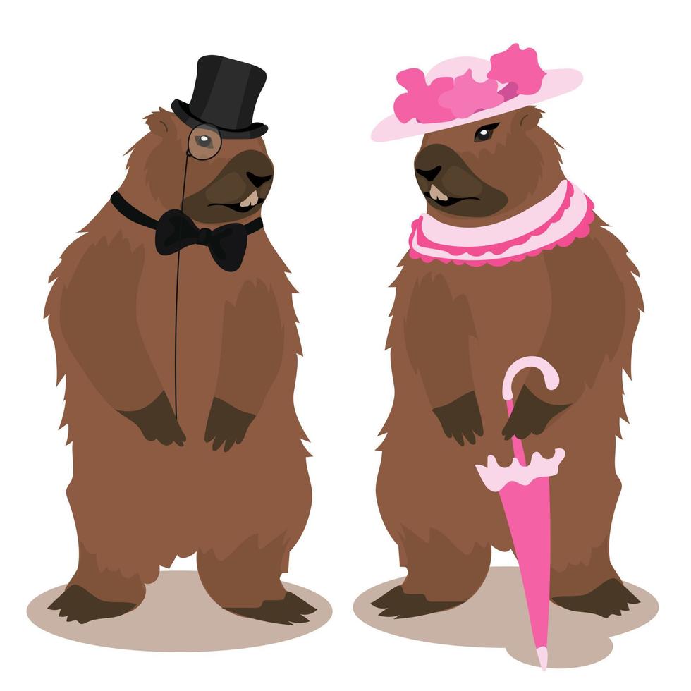 un' marmotta nel un' da gentiluomo completo da uomo con il suo signora. un' paio di marmotte per il marmotta giorno vacanza. un' marmotta uomo e un' donna nel 19 secolo abiti. vettore illustrazione.