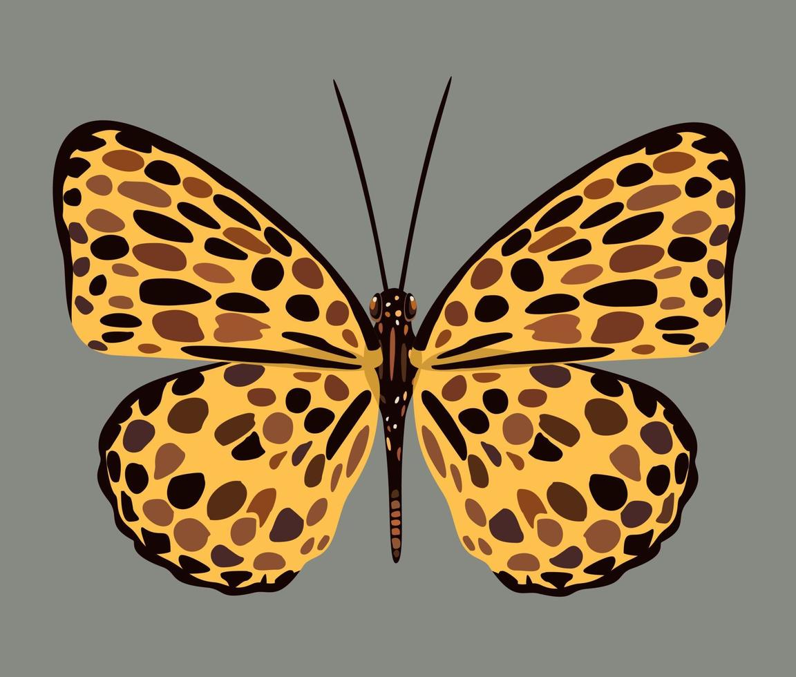 vettore illustrazione di giallo farfalla con buio macchie.