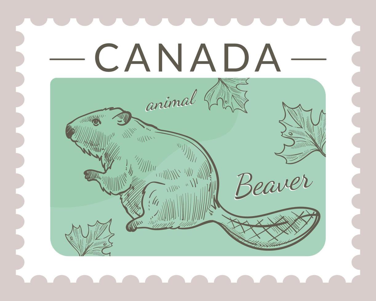 Canada timbro postale, castoro animale su cartolina vettore