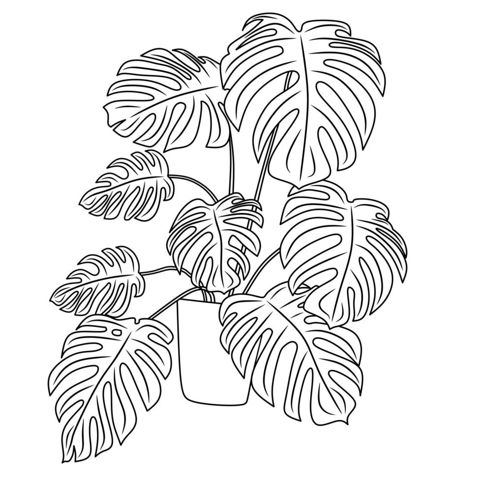 ornamentale pianta immagini per colorazione libro vettore