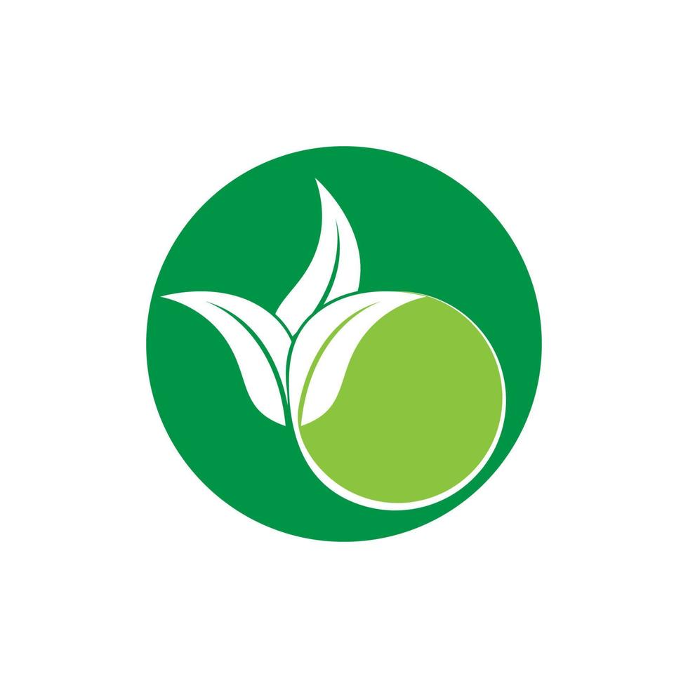 logo foglia verde vettore