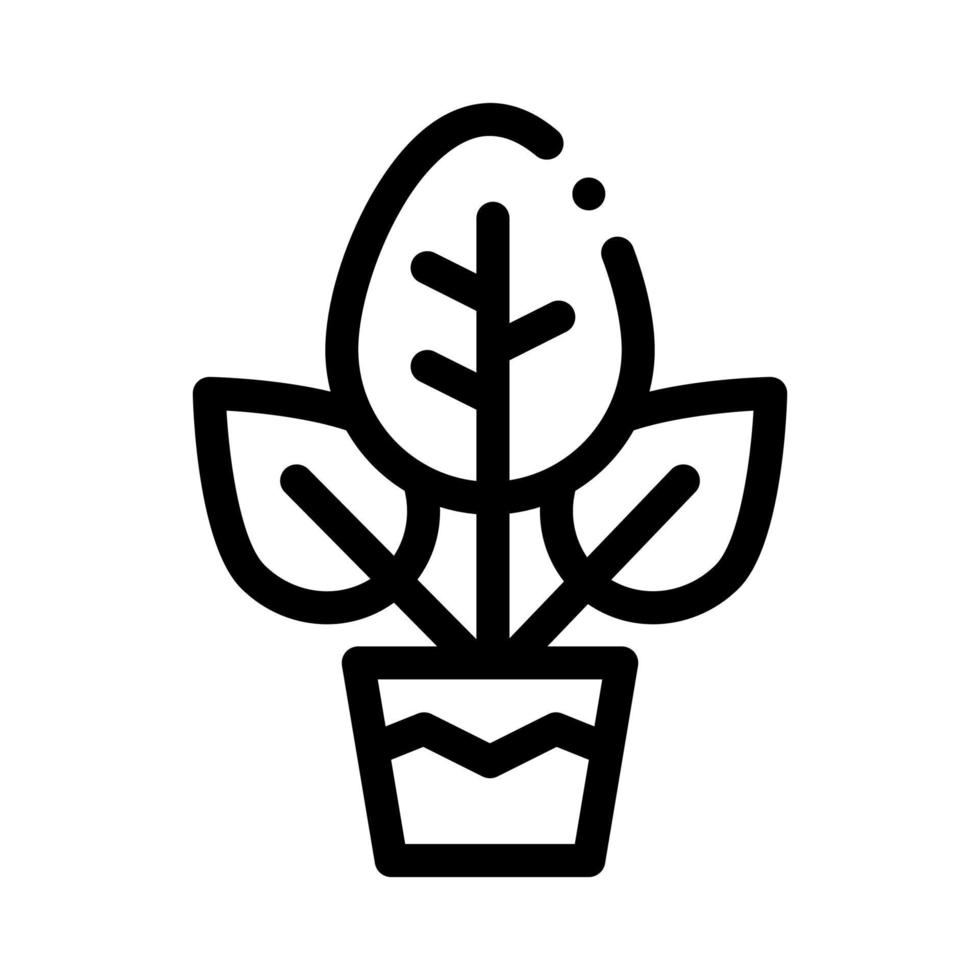 pianta nel pentola icona vettore schema illustrazione