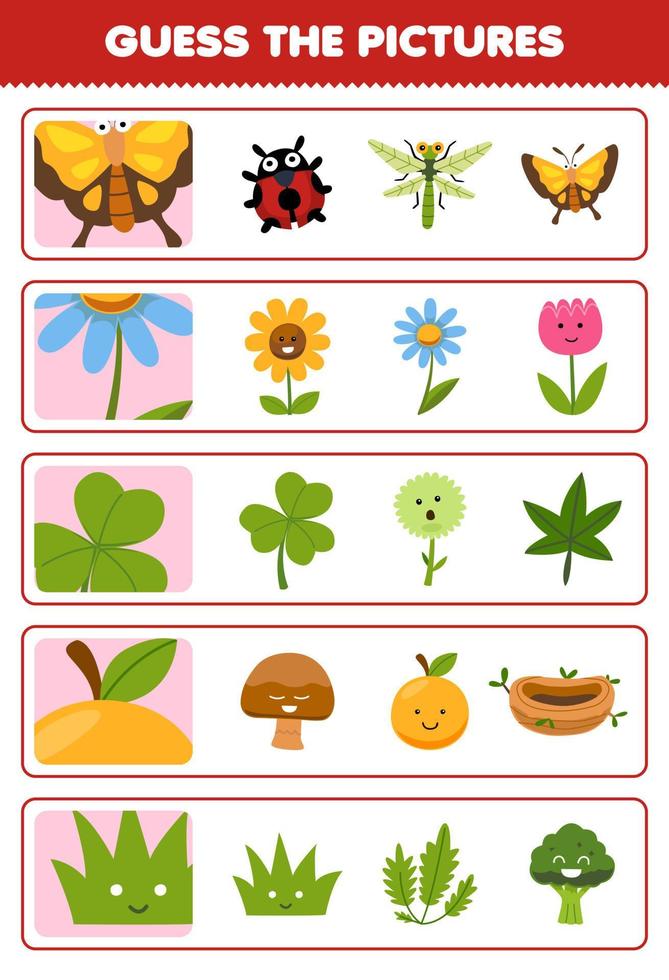 formazione scolastica gioco per bambini indovina il corretta immagini di carino cartone animato farfalla fiore foglia arancia erba stampabile natura foglio di lavoro vettore