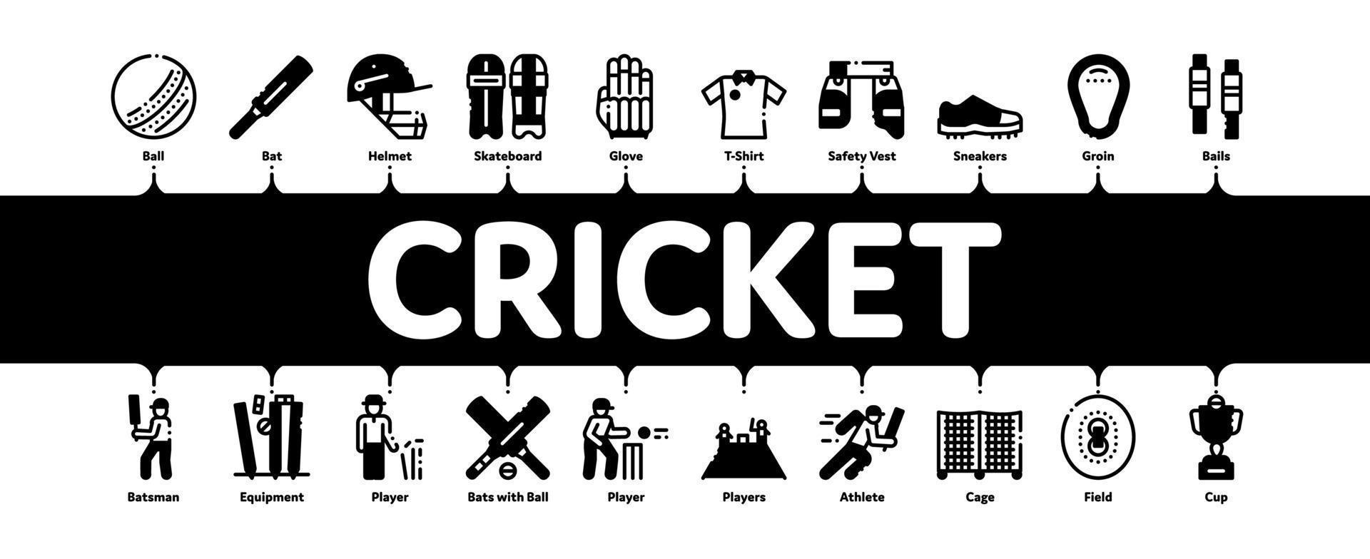 cricket gioco minimo Infografica bandiera vettore