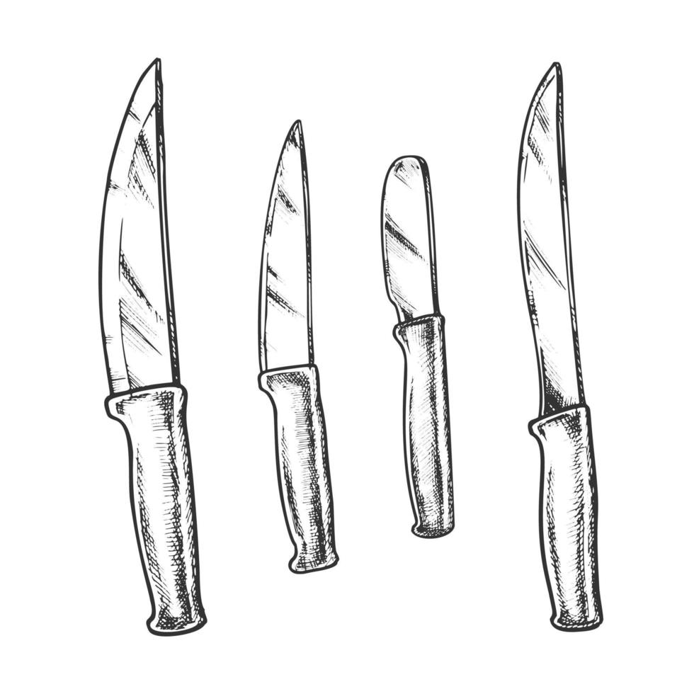 coltelli metallico pasto utensili da cucina monocromatico vettore