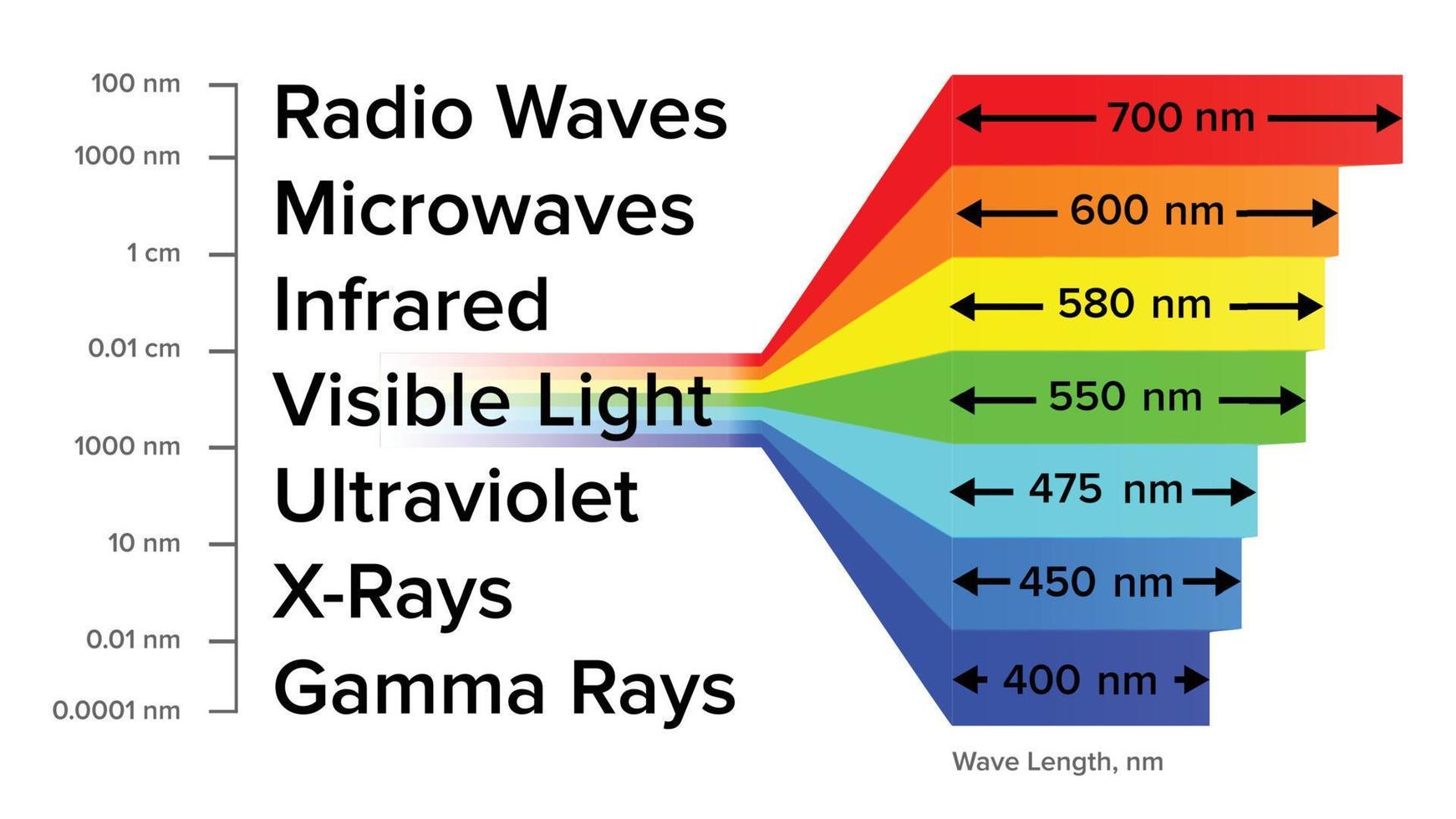 elettromagnetico spettro informazione gamma raggi schema vettore
