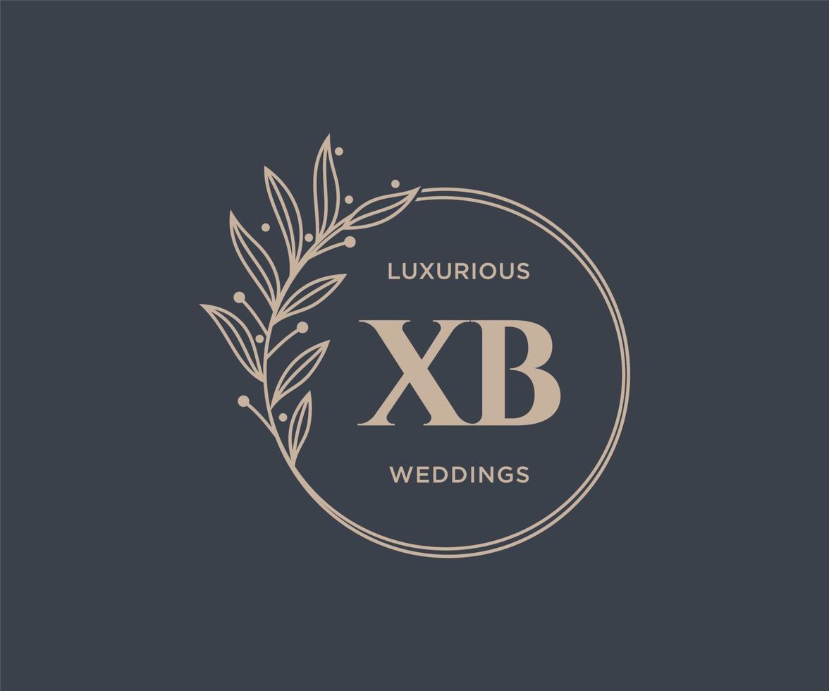 xb iniziali lettera nozze monogramma loghi modello, mano disegnato moderno minimalista e floreale modelli per invito carte, Salva il Data, elegante identità. vettore