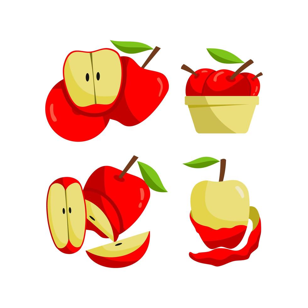 allegagione mela rossa vettore