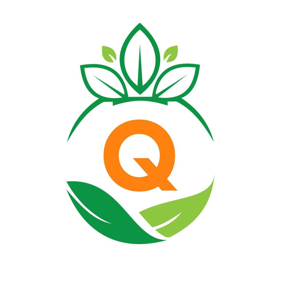 ecologia Salute su lettera q eco biologico logo fresco, agricoltura azienda agricola verdure. salutare biologico eco vegetariano cibo modello vettore