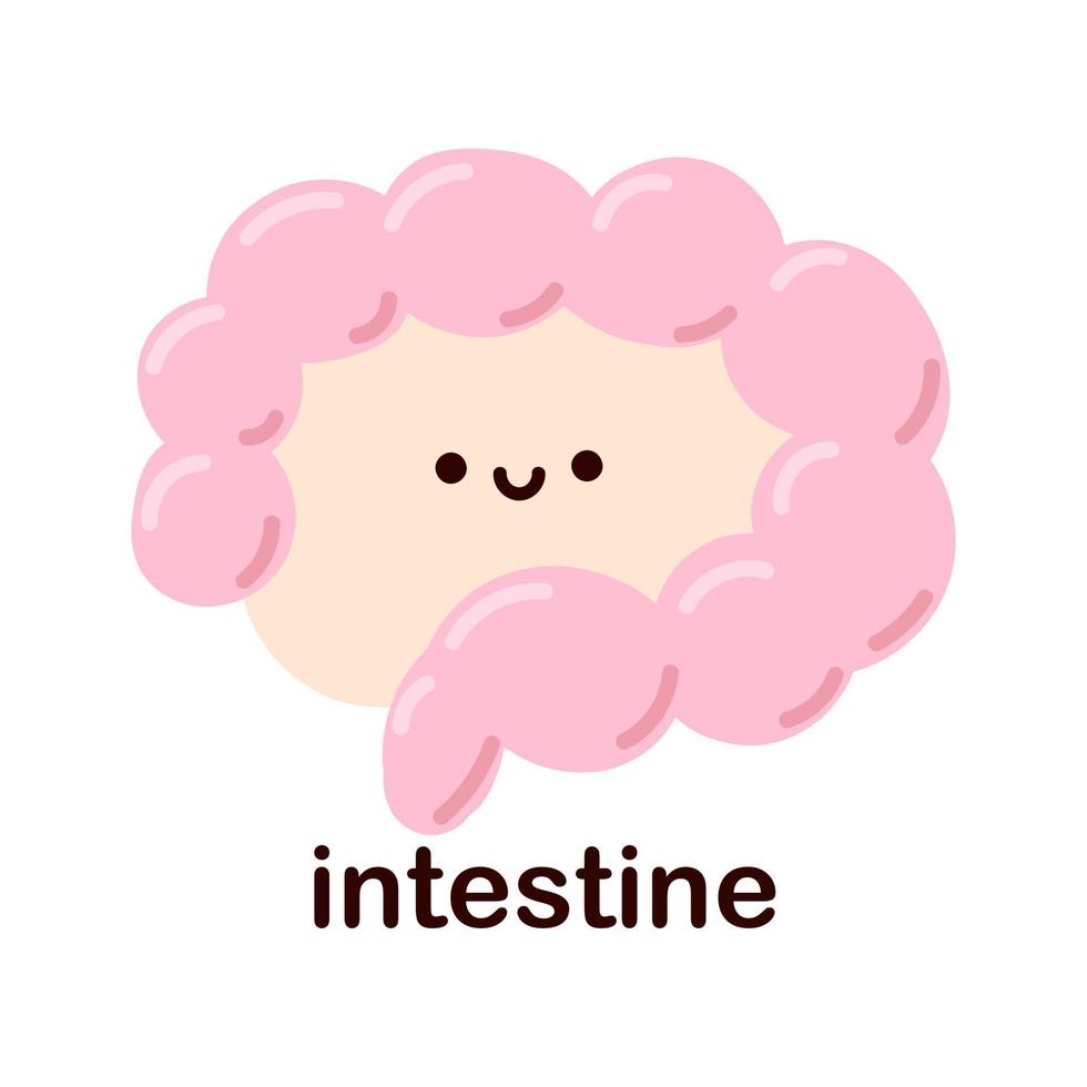 kawaii intestino. carino kawaii umano interno organi. allegro figli di disegni nel un' piatto stile, mano disegnato, umano anatomia. vettore