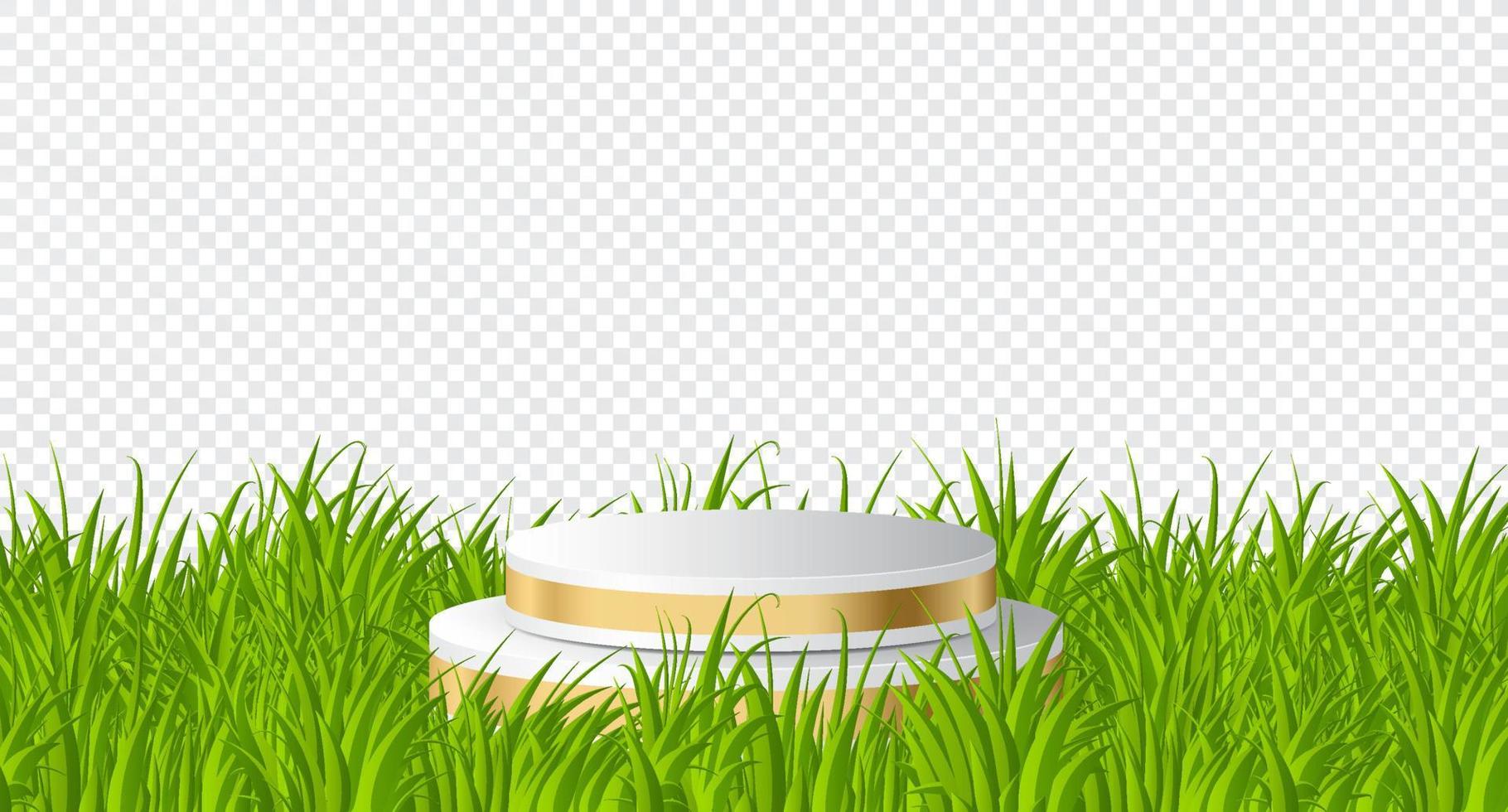 cilindro d'oro podio nel verde sfondo con erba. 3d palcoscenico podio Schermo Prodotto. oro podio nel il verde erba. vettore illustrazione