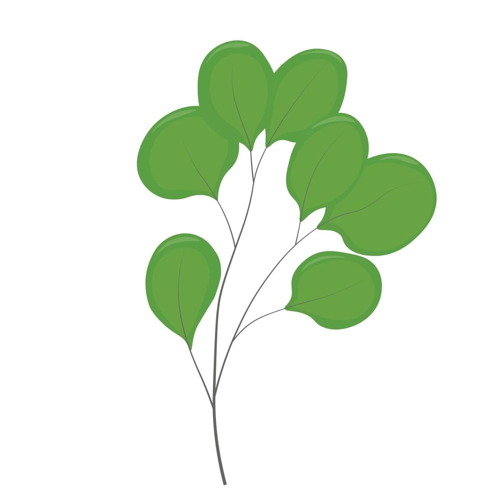 eucalipto ramo vettore azione illustrazione. isolato su un' bianca sfondo. il botanico elemento. un' verde pianta.