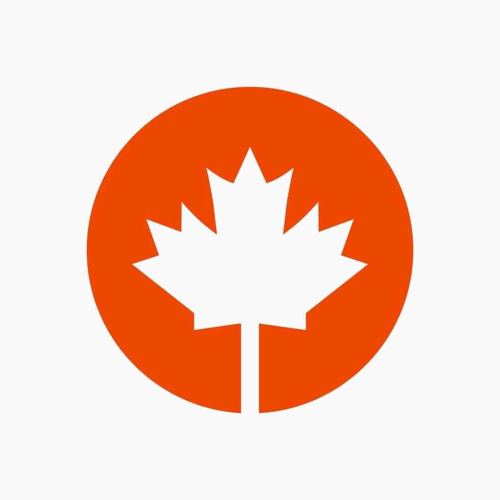 canadese rosso acero logo su lettera o vettore simbolo. acero foglia concetto per canadese azienda identità