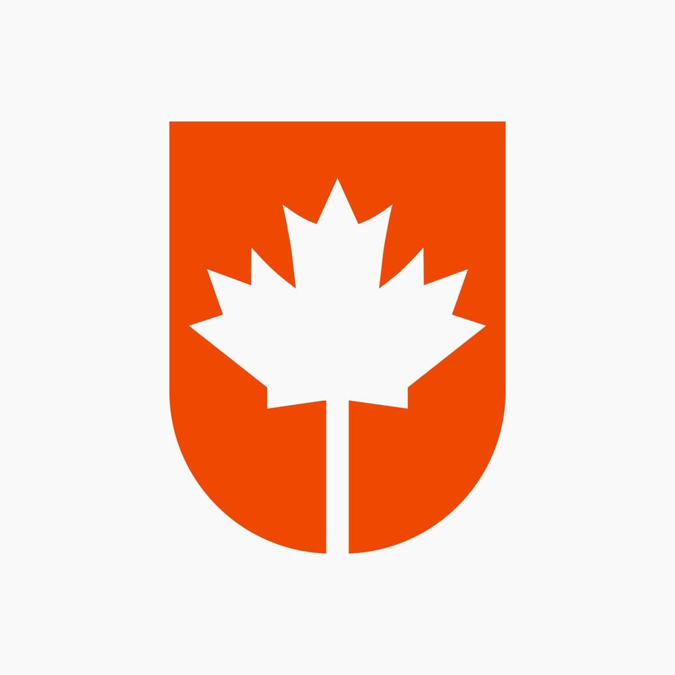 canadese rosso acero logo su lettera u vettore simbolo. acero foglia concetto per canadese azienda identità