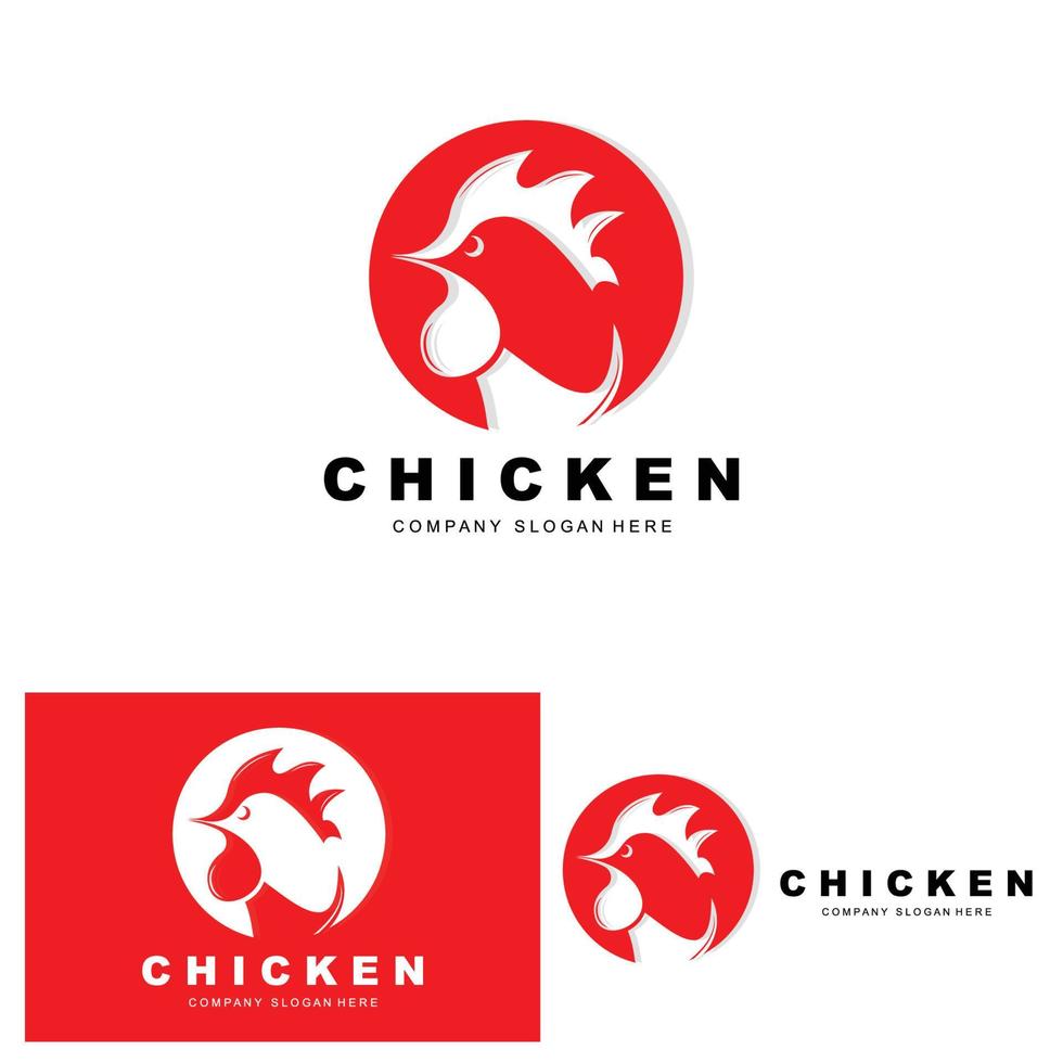 pollo logo, azienda agricola animale vettore, design per pollo azienda agricola, fritte pollo ristorante, bar vettore