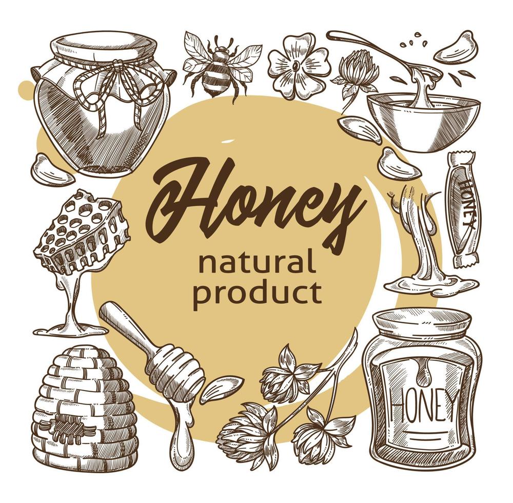 miele naturale Prodotto, api e zuccherino liquido vettore
