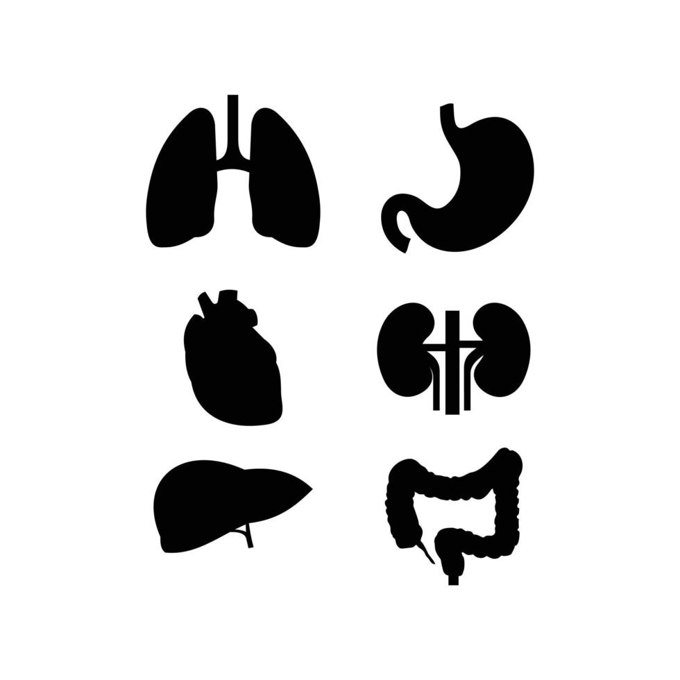 umano organi stomaco, rene, cuore, silhouette vettore icona