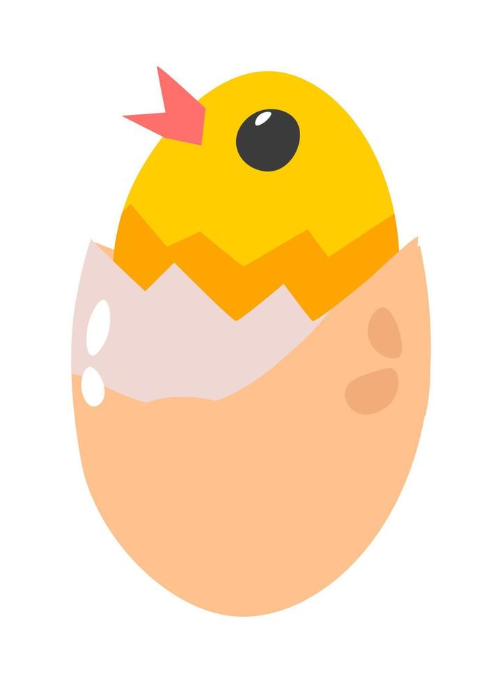 pollo nel guscio d'uovo, piccolo pulcino neonato animale vettore