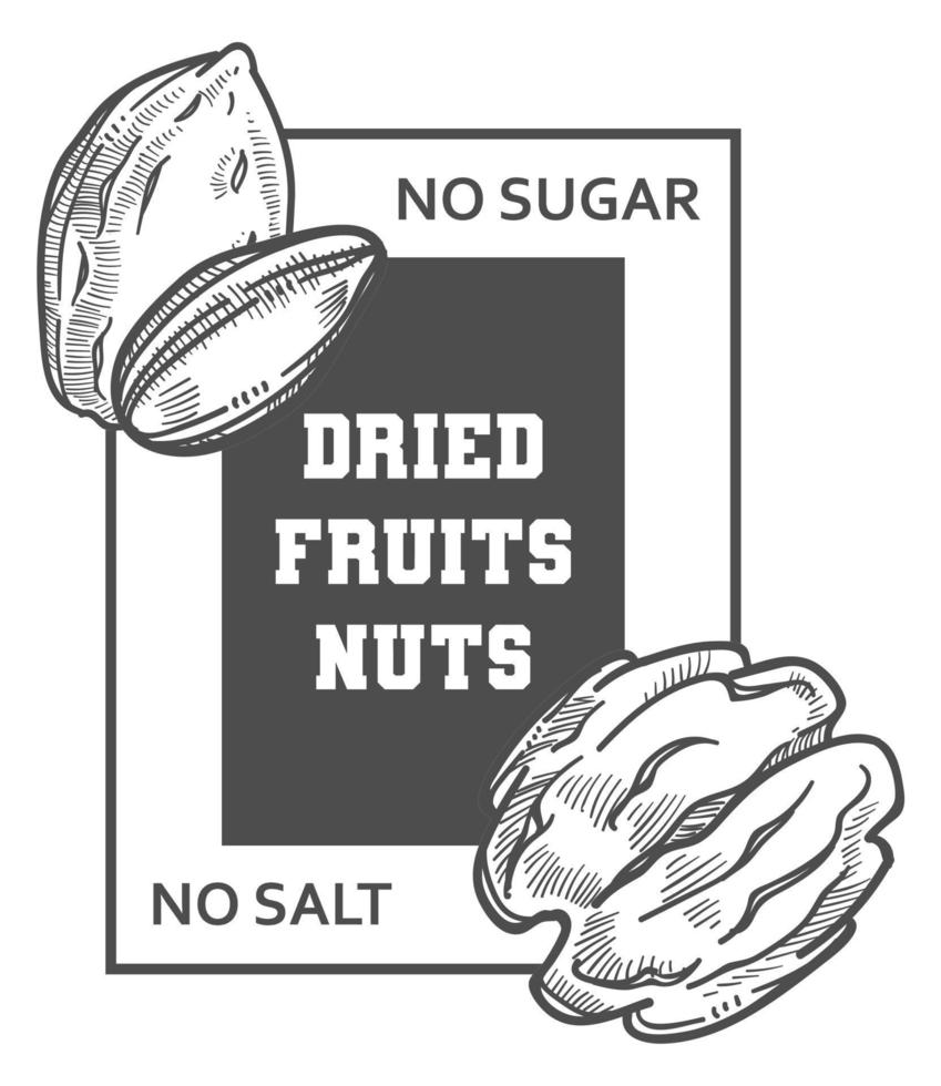 secco frutta e noccioline, no zucchero no sale aggiunto vettore