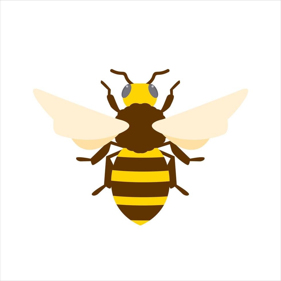 miele ape piatto design vettore illustrazione. carino Bumble ape. bombo personaggio logo portafortuna