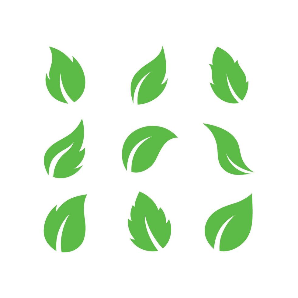 impostato di verde le foglie vettore illustrazione