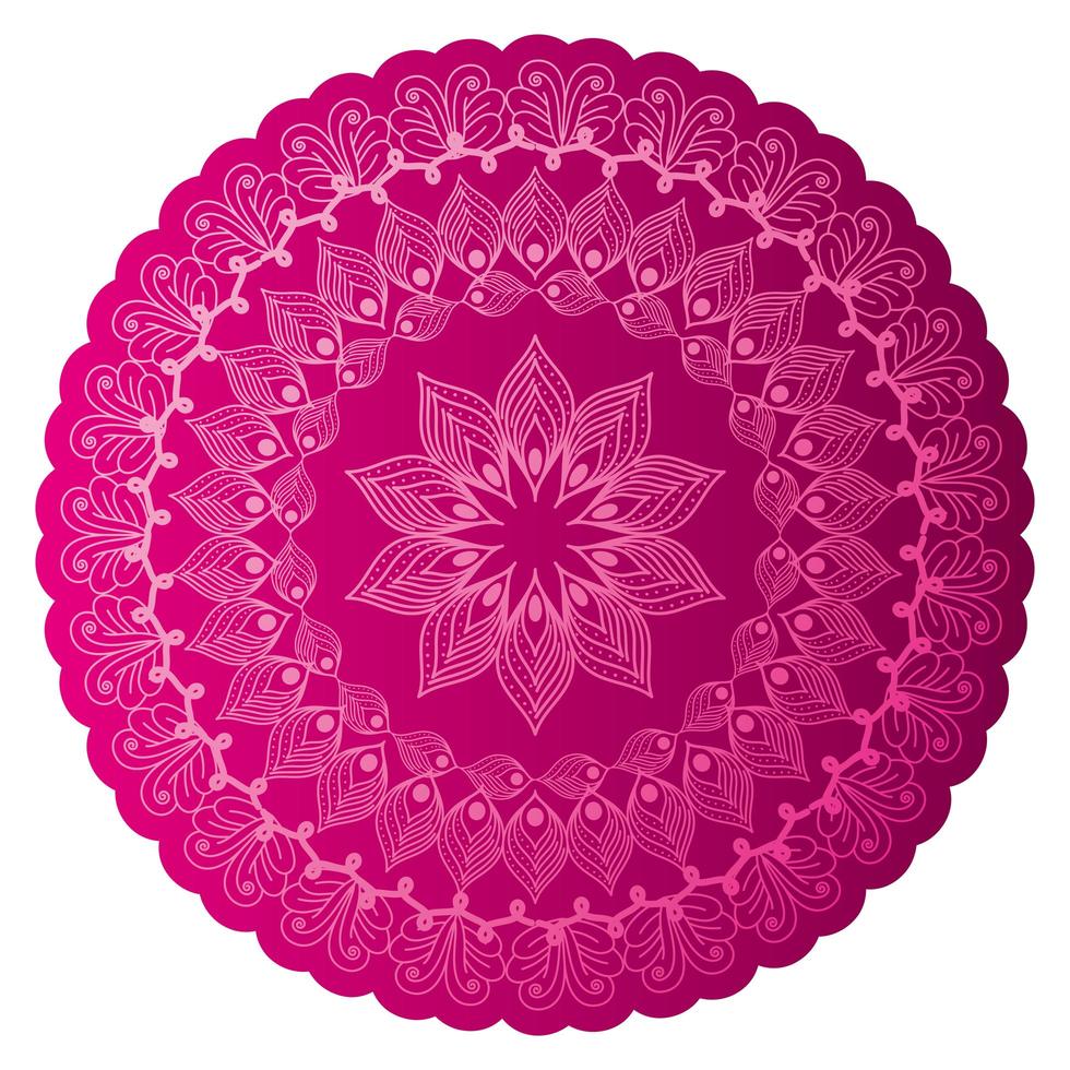 mandala di colore rosa con uno sfondo bianco vettore