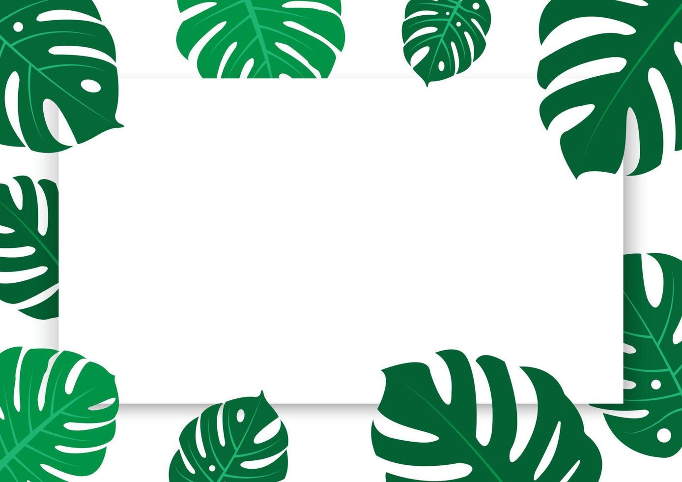 il design è di moda e esotico per il foglia Monstera verde di natura nel il estate botanico giungla per il bandiera sfondo, decorazione, telaio, e per illustrazione. vettore