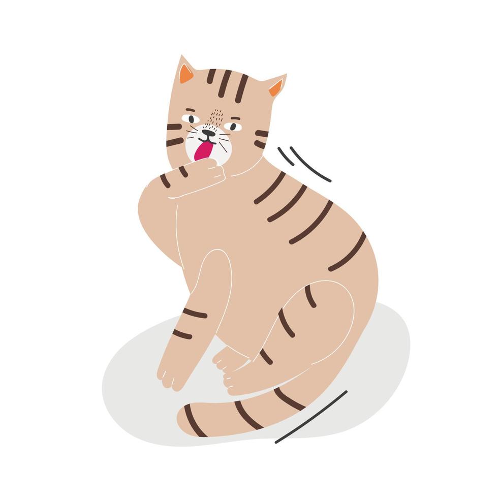 carino gatto nel diverso pose isolato su bianca sfondo nel moderno piatto stile. animali. vettore illustrazione