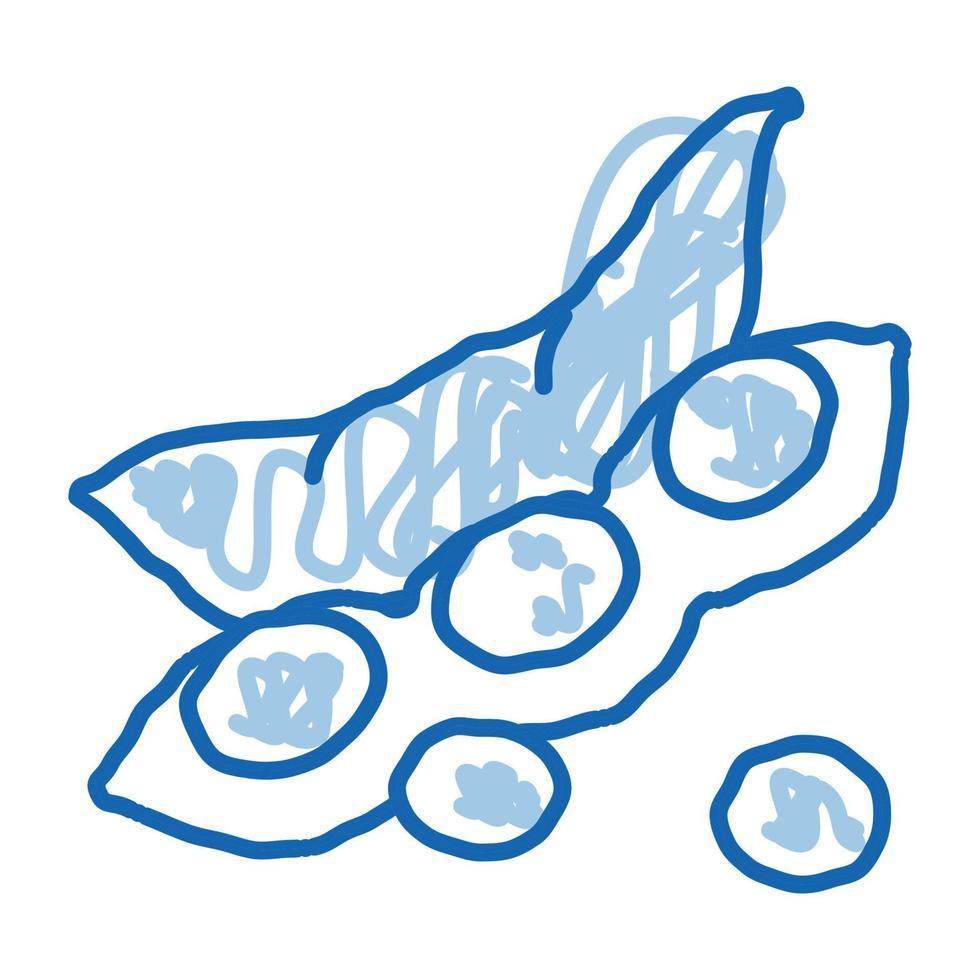 crudo fresco soia fagiolo scarabocchio icona mano disegnato illustrazione vettore