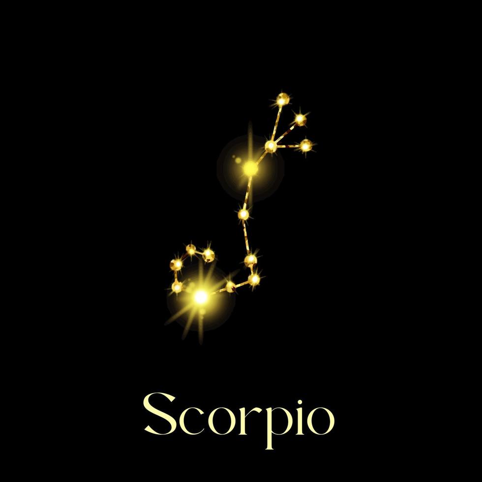 oroscopo scorpione costellazioni di il zodiaco cartello a partire dal un' d'oro struttura su un' nero sfondo vettore