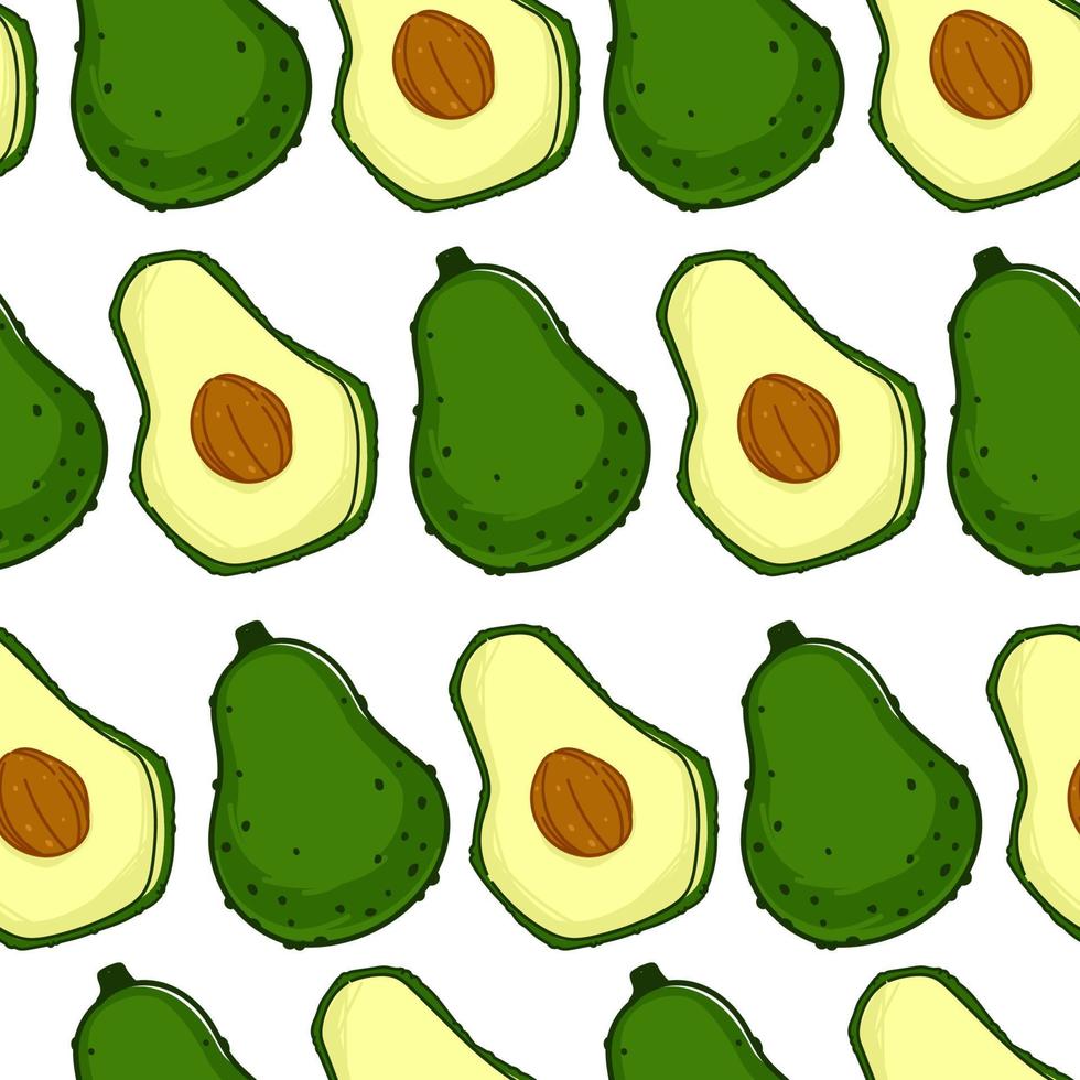 avocado maturo bacca con seme, senza soluzione di continuità modello vettore