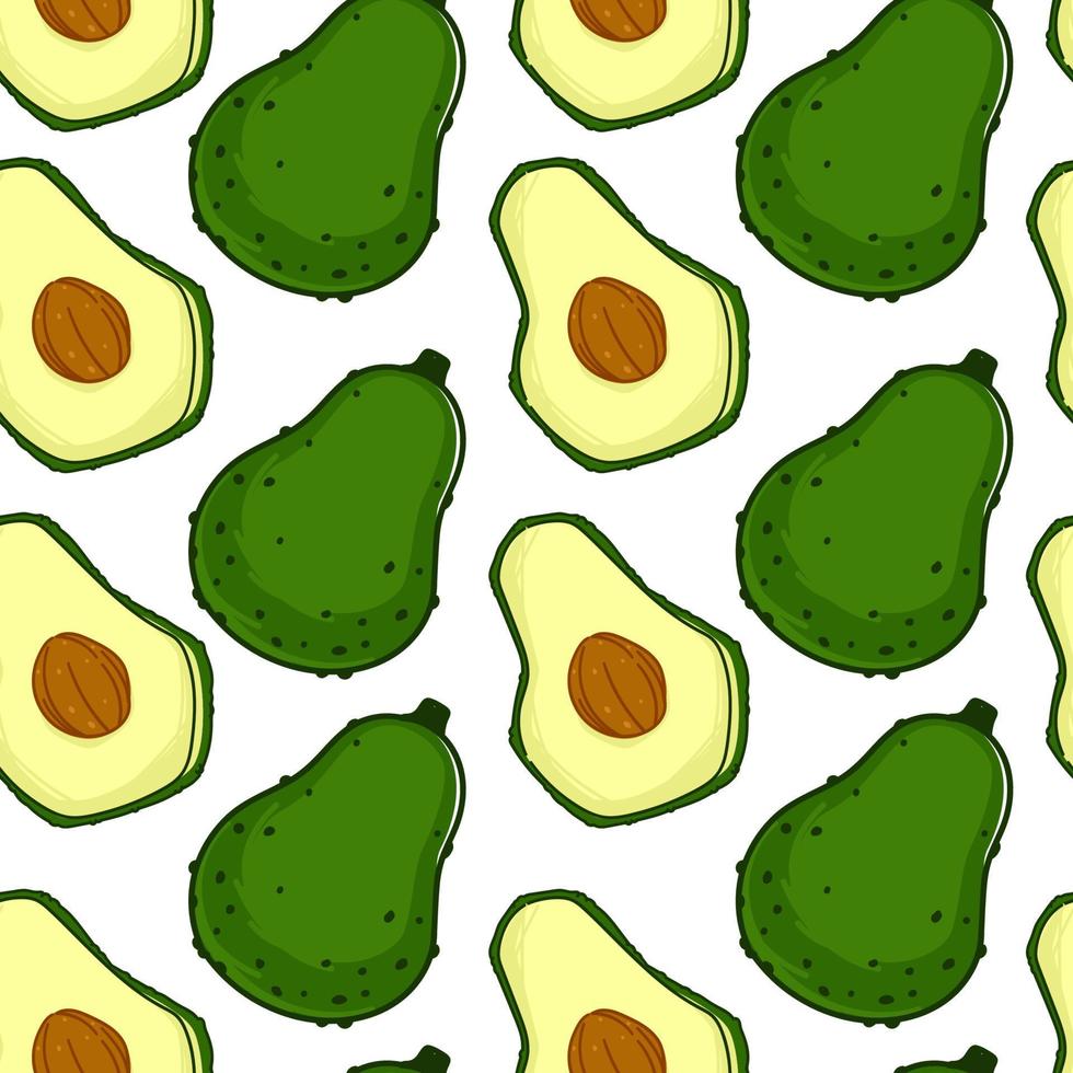 avocado maturo frutta con seme senza soluzione di continuità modello vettore