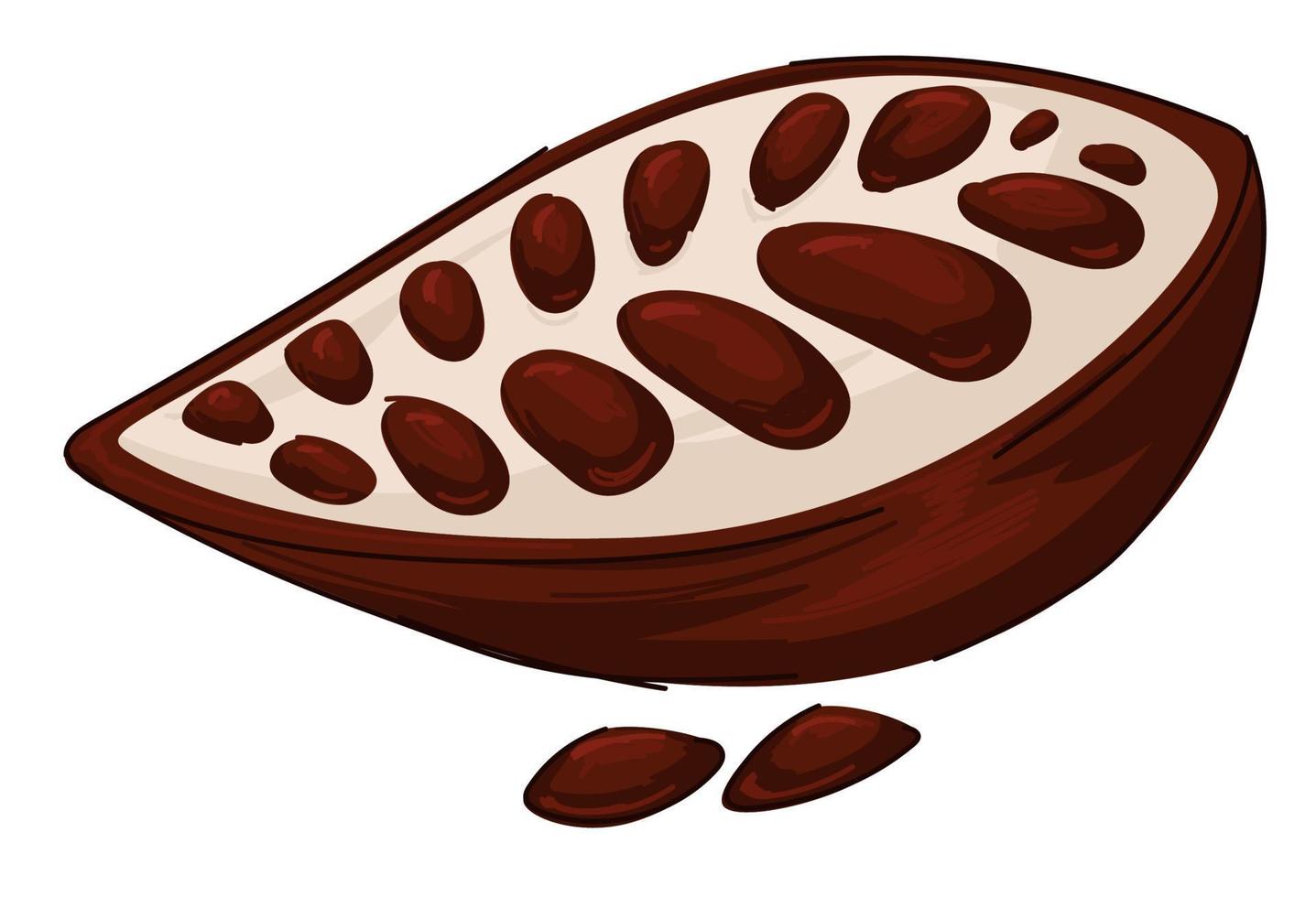 cacao baccello, aromatico culinario ingrediente vettore