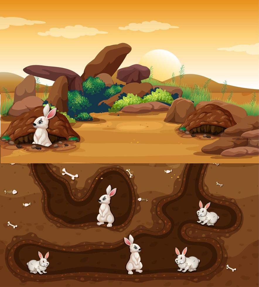 buca sotterranea per animali con molti conigli vettore