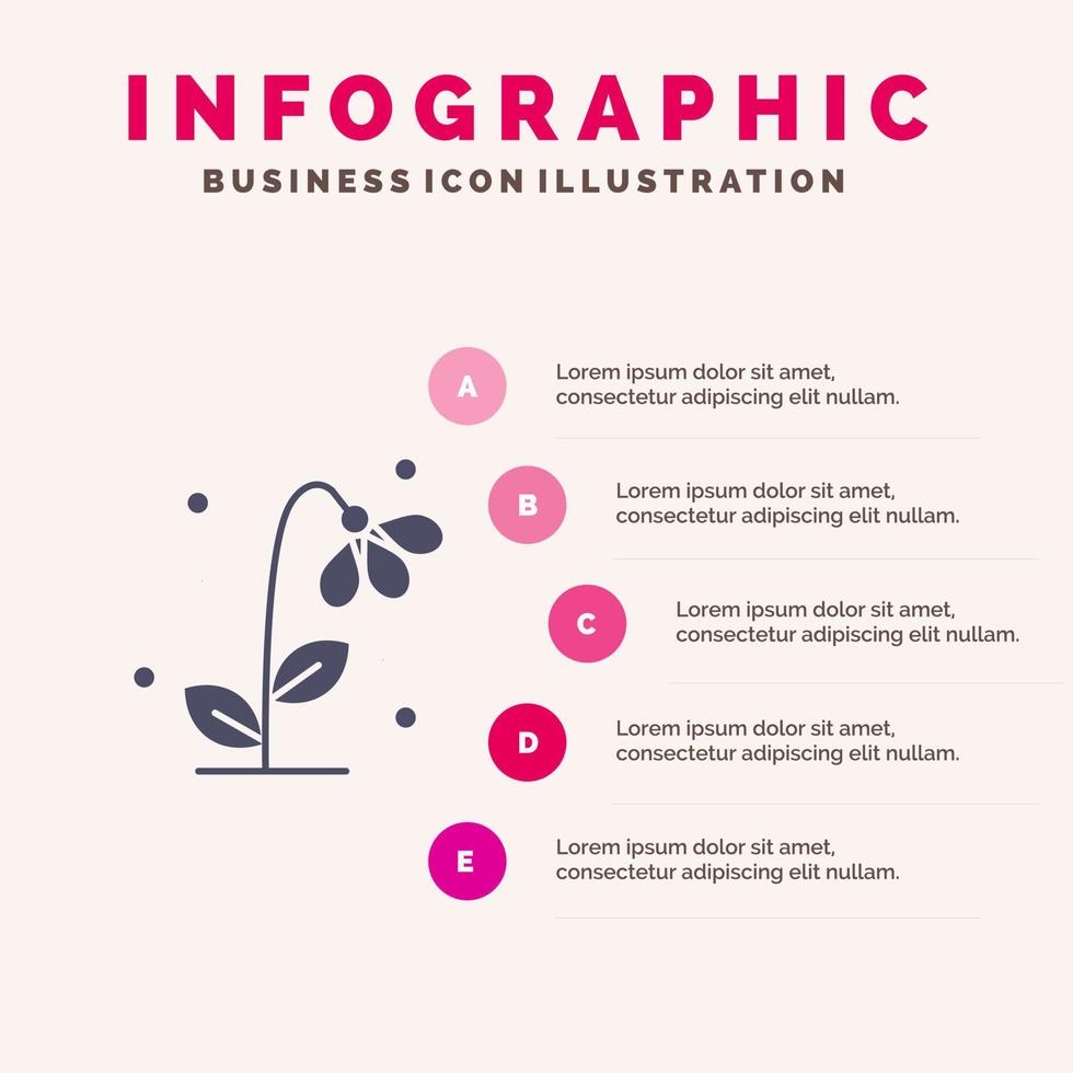 flora floreale fiore natura primavera solido icona infografica 5 passaggi presentazione sfondo vettore