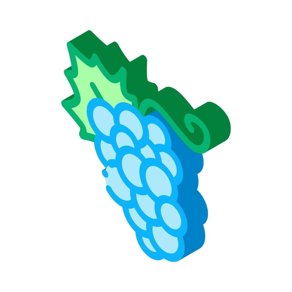 uva frutti di bosco isometrico icona vettore illustrazione