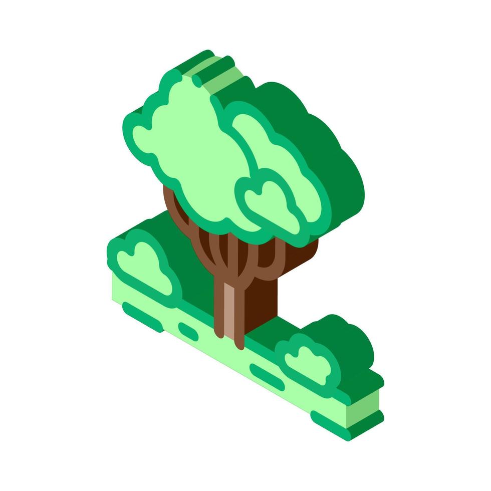 giungla foresta albero isometrico icona vettore illustrazione