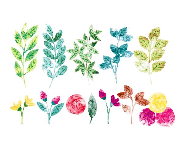 Rami E Fiori Di Primavera Dell Acquerello Di Vettore Scarica Immagini Vettoriali Gratis Grafica Vettoriale E Disegno Modelli