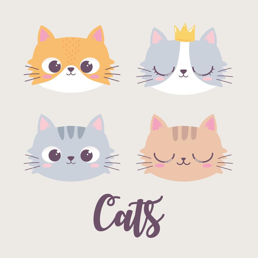 simpatici gatti facce personaggio divertente animale dei cartoni animati vettore