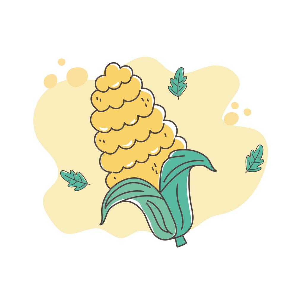 cibo sano nutrizione dieta icona di grano di mais biologico vettore
