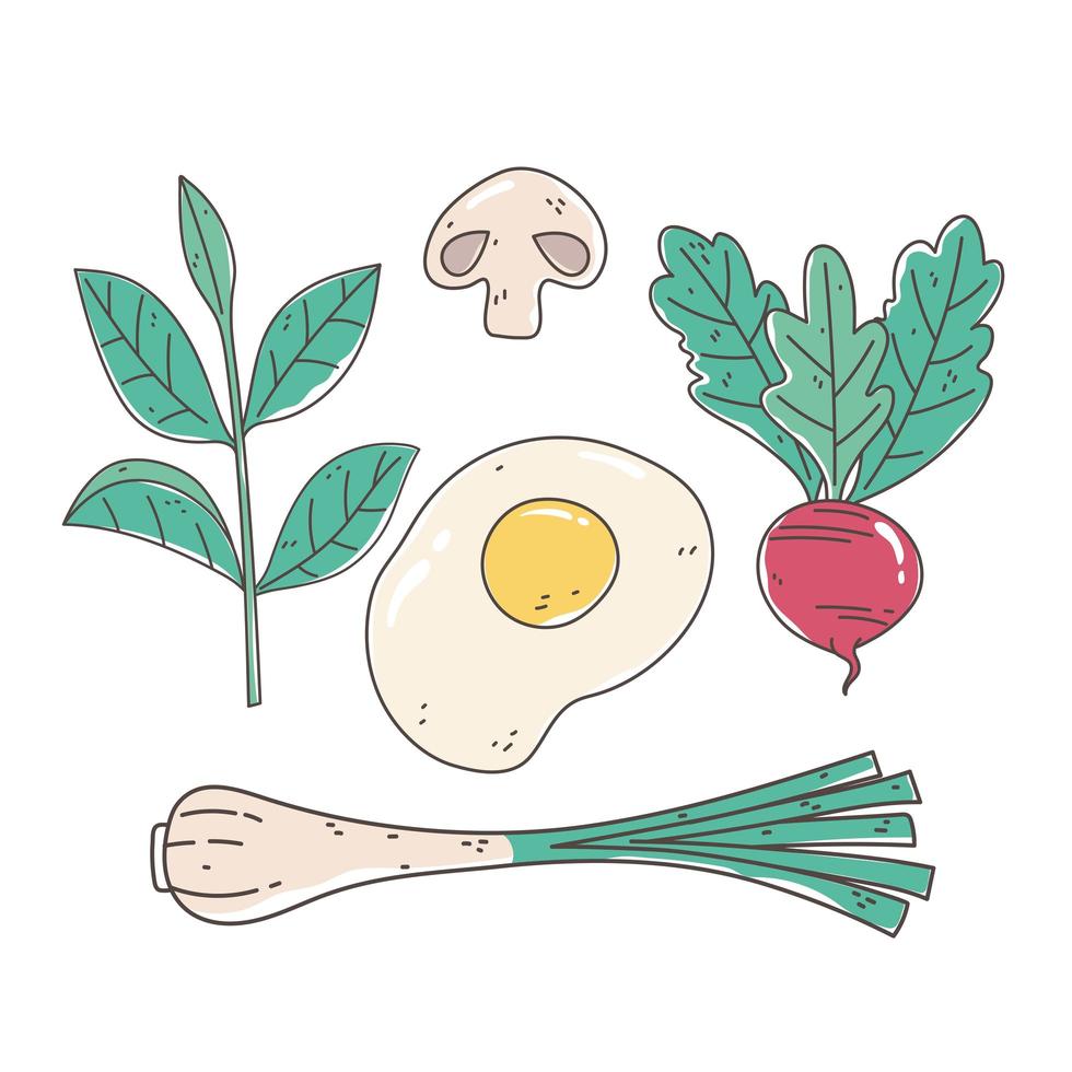 cibo sano nutrizione dieta organica cipolla uovo barbabietola funghi vettore