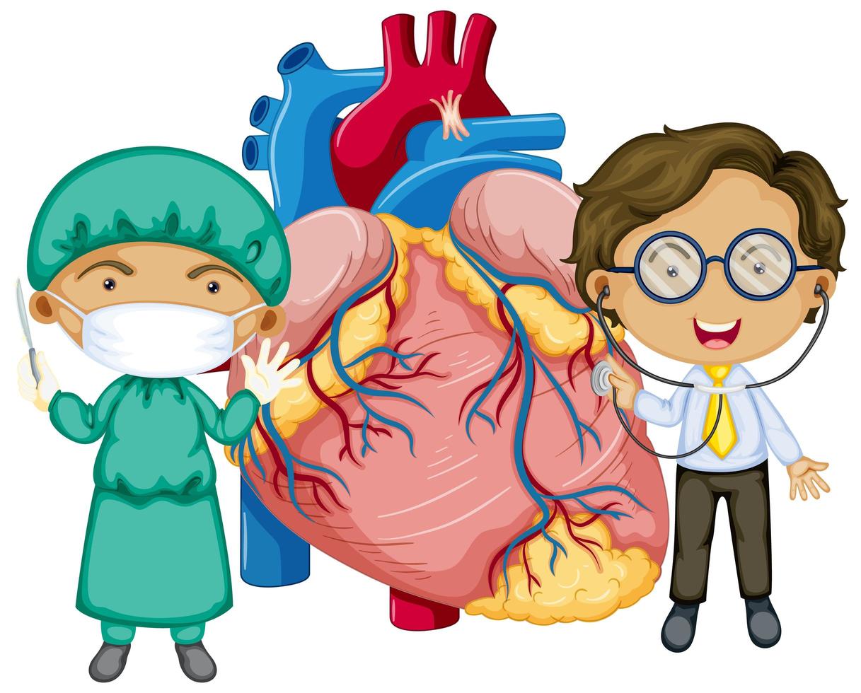 cuore umano con due personaggi dei cartoni animati medico vettore