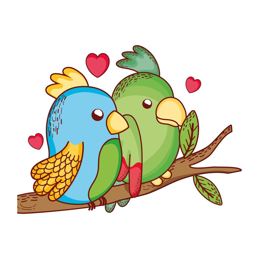 simpatici animali, coppia di pappagalli nel ramo di un albero amore cartone animato vettore