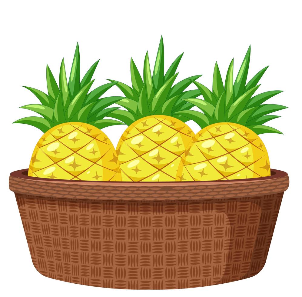 ananas nel cesto isolato su sfondo bianco vettore