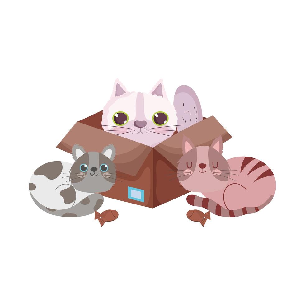 negozio di animali, gatto in scatola di cartone e gattini con biscotti pesci animali domestici del fumetto vettore