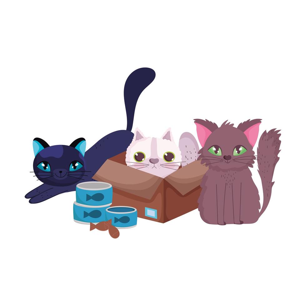 negozio di animali, gatto in scatola di cartone e gattini con cibo nel fumetto di erba vettore