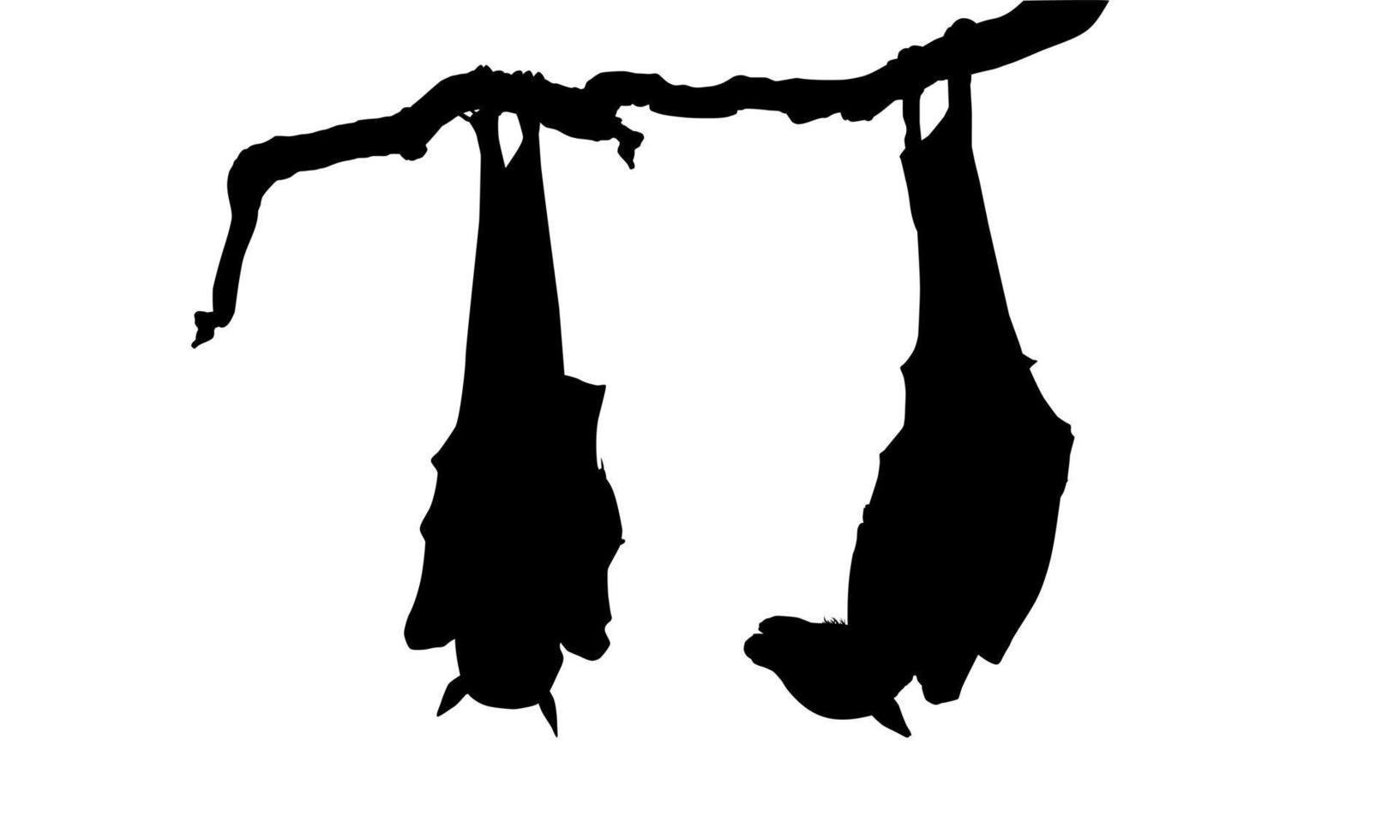 addormentato pipistrello su il ramo albero silhouette per Halloween manifesto, arte illustrazione, orrore film o film manifesto di per grafico design elemento. vettore illustrazione