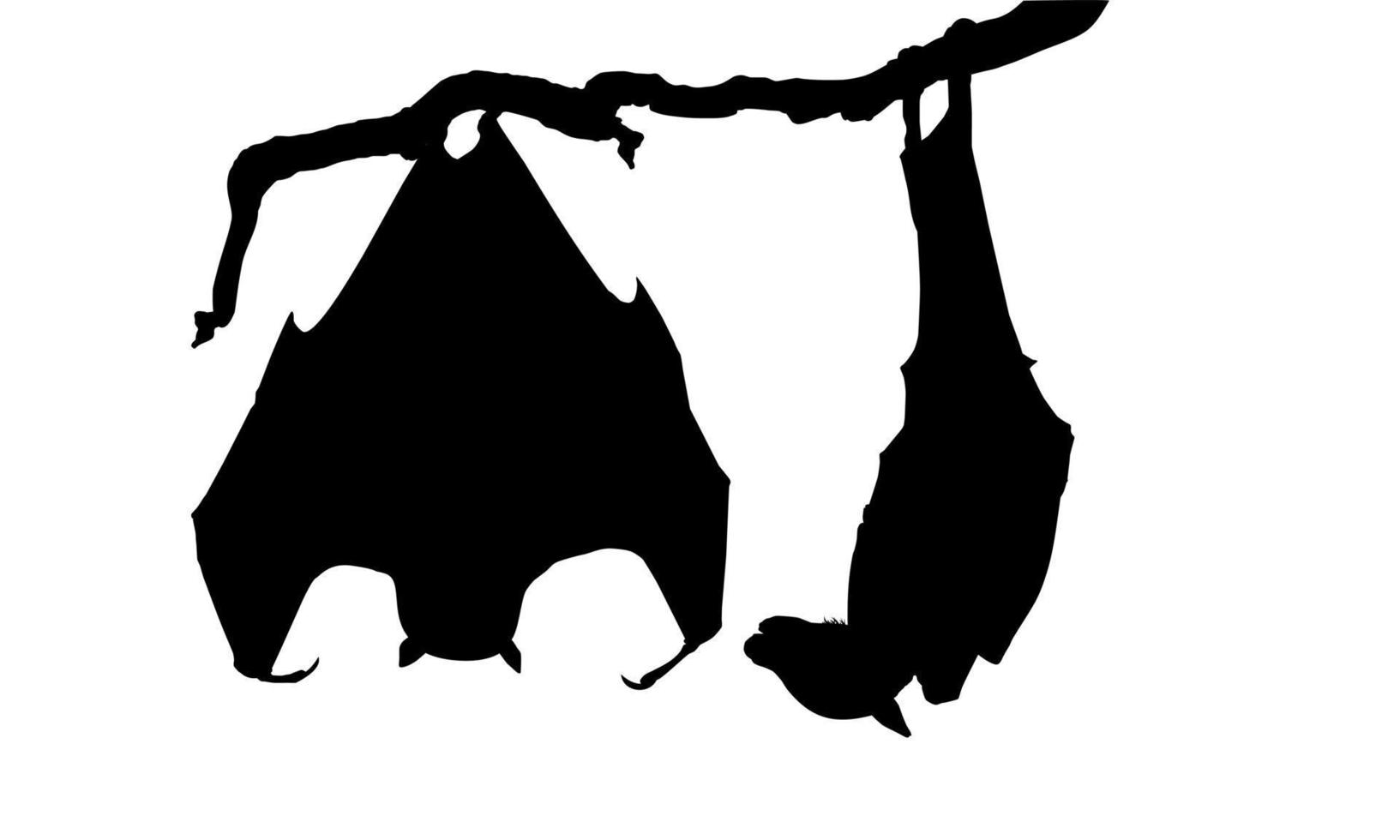 addormentato pipistrello su il ramo albero silhouette per Halloween manifesto, arte illustrazione, orrore film o film manifesto di per grafico design elemento. vettore illustrazione